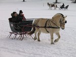 Highlight for Album: 2005 Winter Carnival Sleigh and Cutter Parade