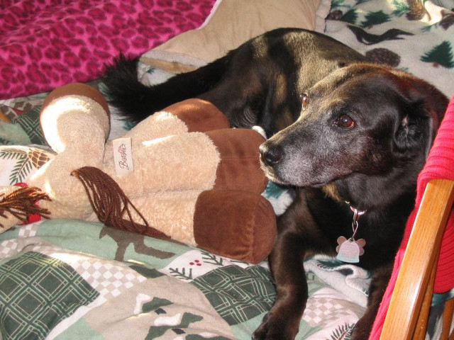 An early morning Belle, Part 2