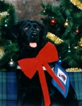 Merry Christmas Daisy!