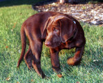 Another photo from his late afternoon photo shoot.