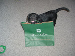 Holly learned very quickly that knowing how to shop is important for a Minnesota girl. 