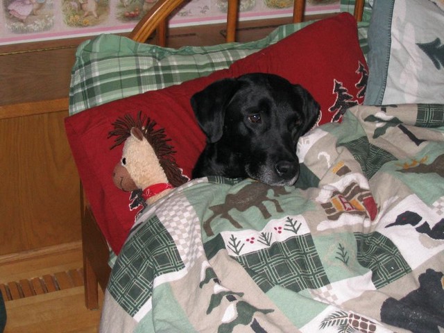 Didn't someone mention breakfast in bed?