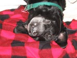 AAAAHHHHHH!!!  Nothing like lounging on the bed!