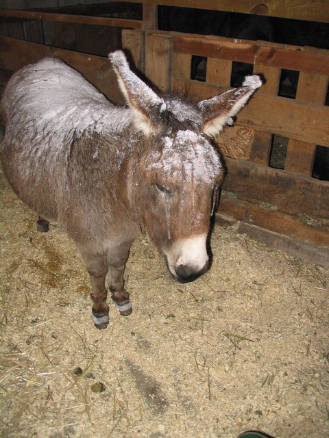 BRRRR!!!!