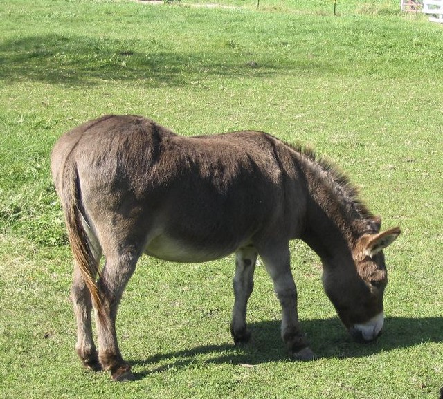 Hey!  Nice.....err......ass!