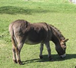 Hey!  Nice.....err......ass!