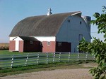 Highlight for Album: Steve's Farm
