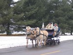 Highlight for Album: 2006 Winter Carnival Sleigh and Cutter Parade