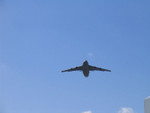 IMG_0633.JPG