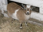 Aren't I cute???
