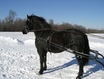 Ready to Sleigh!