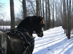 Taking a break on a snowy winter trail.