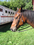 Ready to Ride